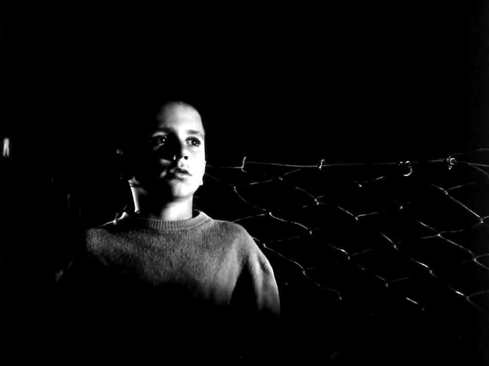 孤独な少年のクロニクルの画像