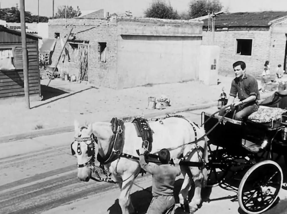 孤独な少年のクロニクルの画像