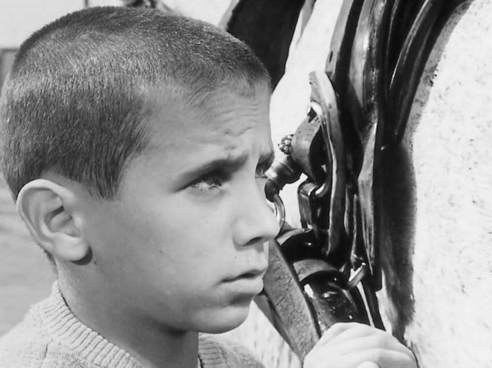 孤独な少年のクロニクルの画像