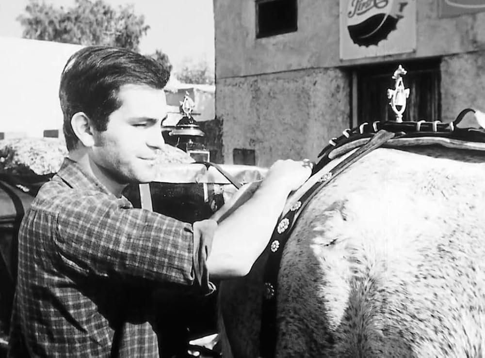 孤独な少年のクロニクルの画像