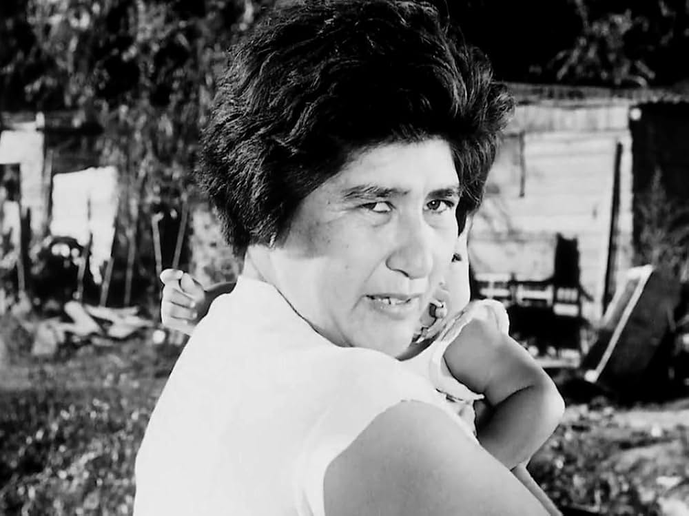 孤独な少年のクロニクルの画像