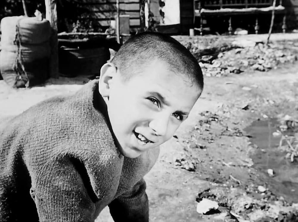 孤独な少年のクロニクルの画像