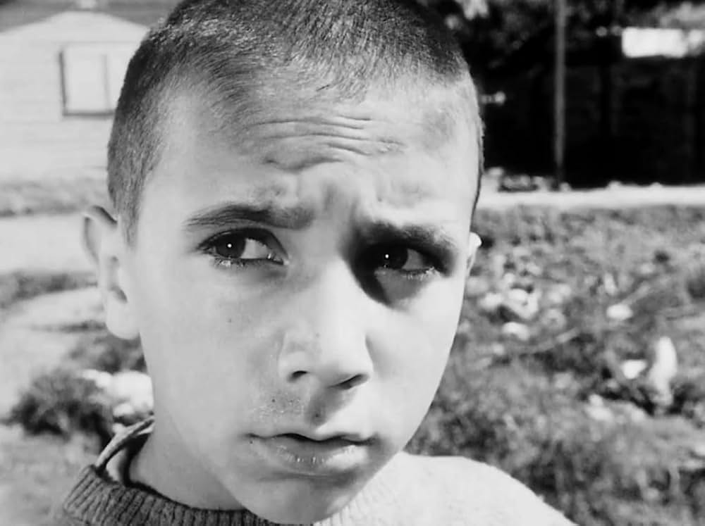 孤独な少年のクロニクルの画像