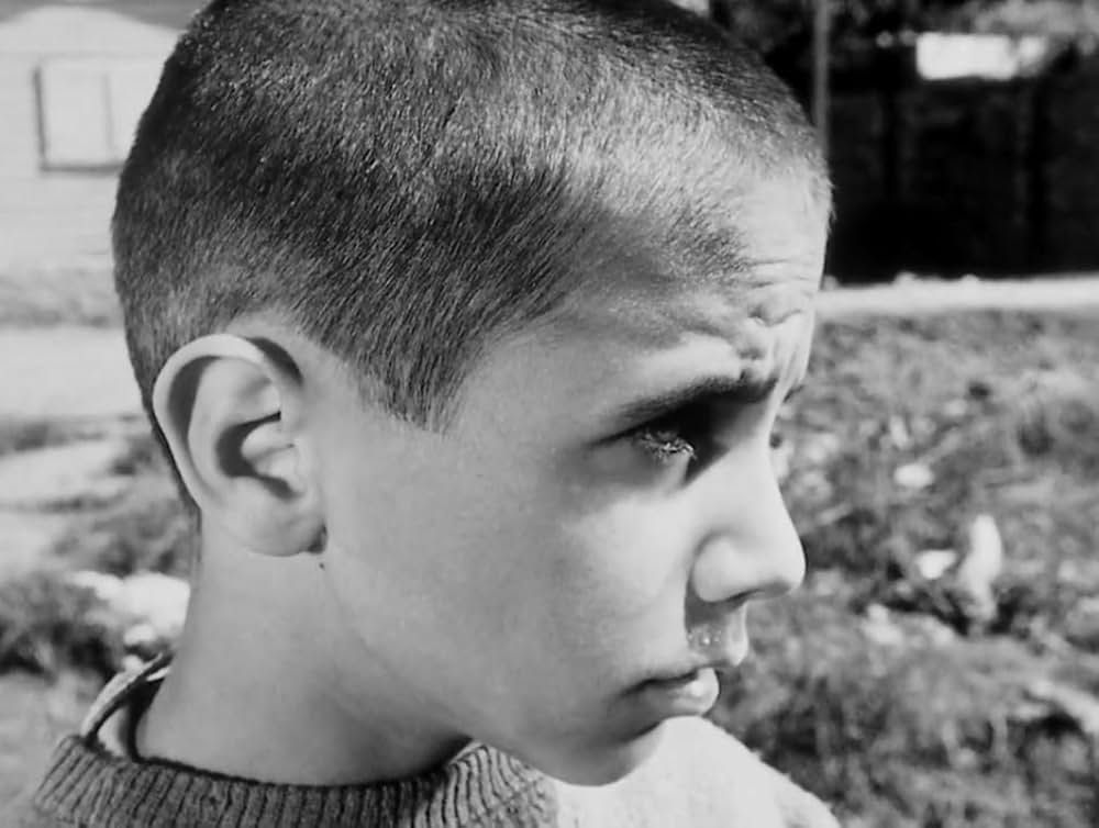 孤独な少年のクロニクルの画像