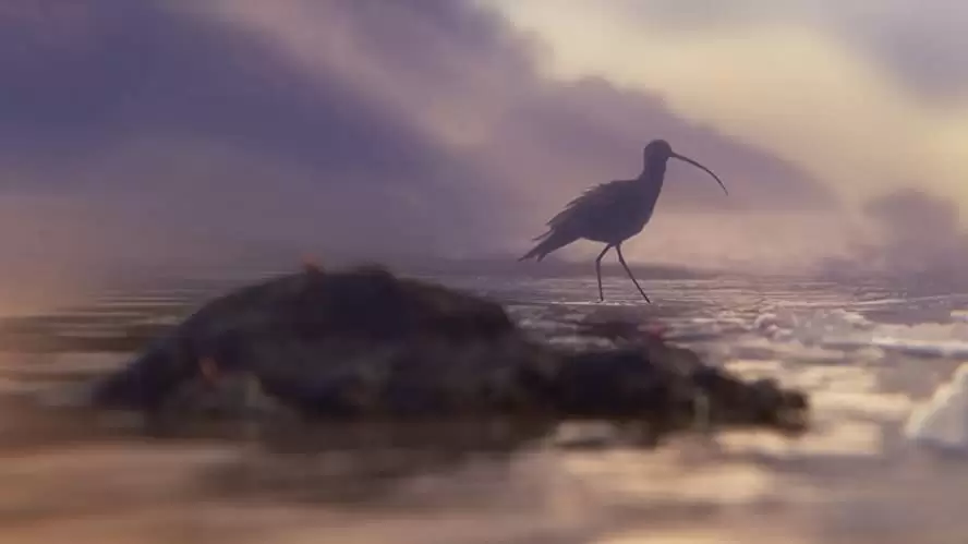 ひな鳥の冒険の画像