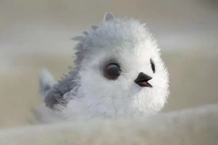 ひな鳥の冒険の画像