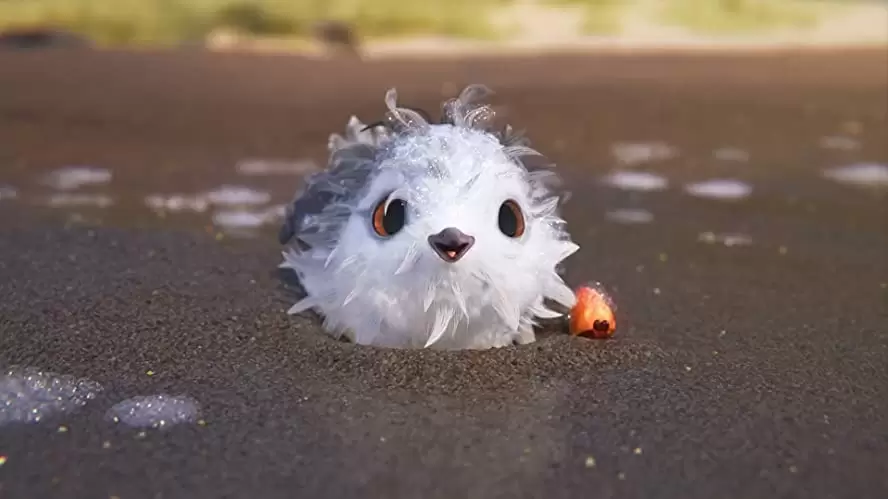 ひな鳥の冒険の画像