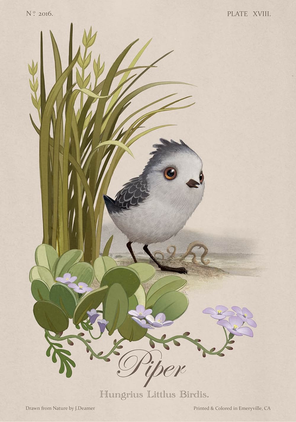 ひな鳥の冒険の画像