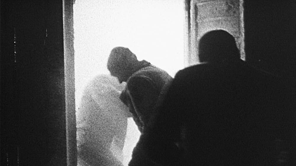 ダニエル・シュミット－思考する猫の画像