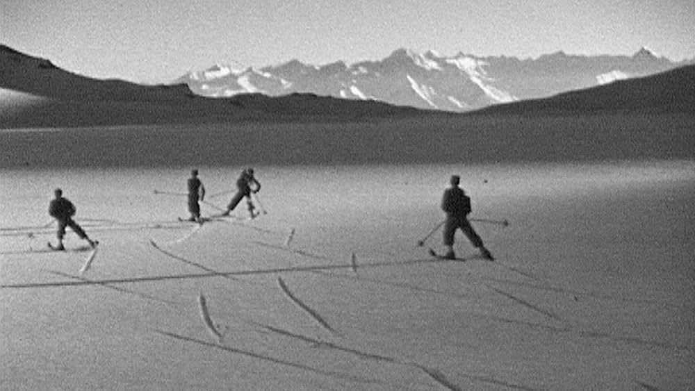 ダニエル・シュミット－思考する猫の画像
