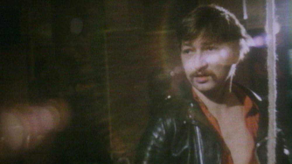 ダニエル・シュミット－思考する猫の写真