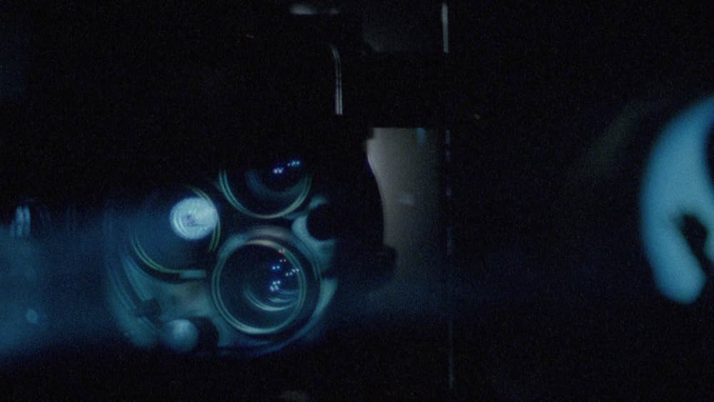 ダニエル・シュミット－思考する猫の画像