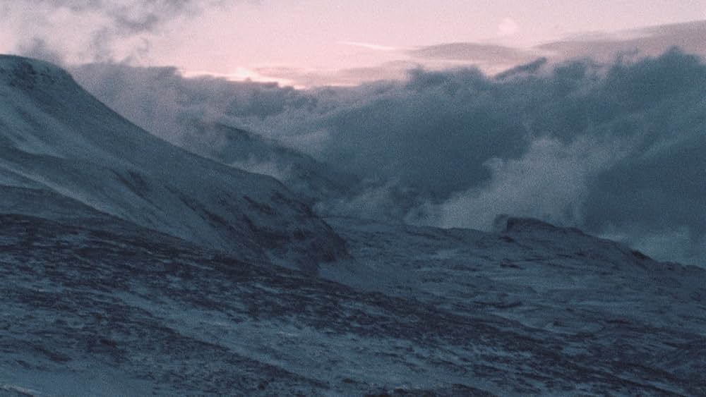 ダニエル・シュミット－思考する猫の画像