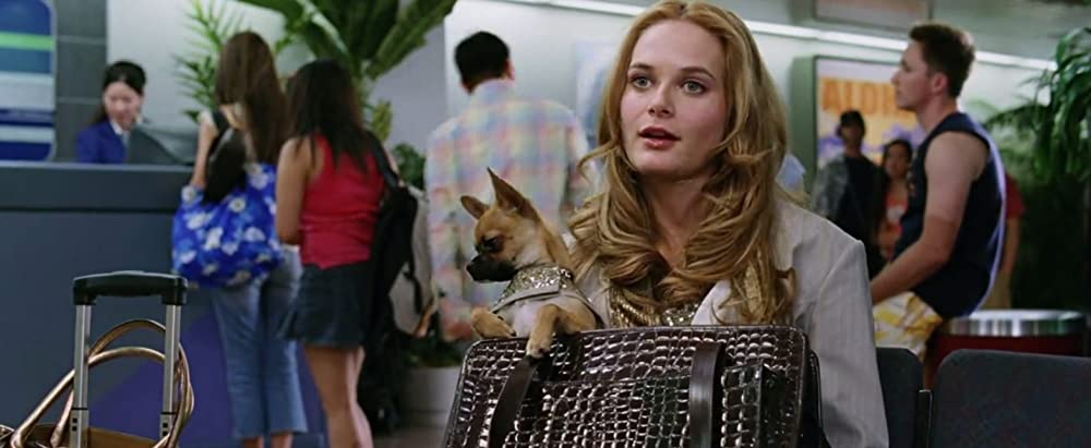 スネーク・フライトの画像