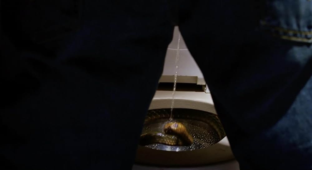 スネーク・フライトの画像