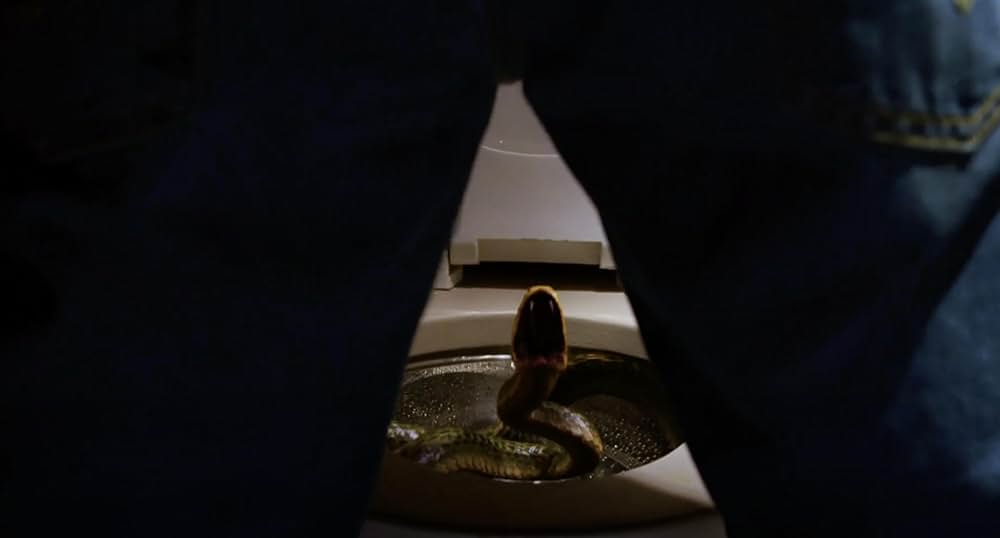 スネーク・フライトの画像