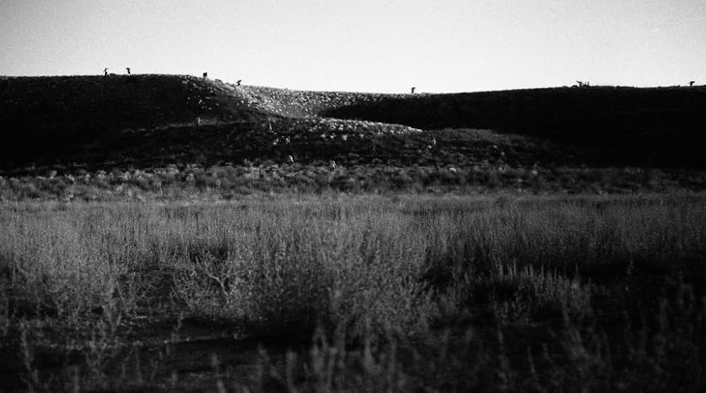 Savageland（原題）の画像