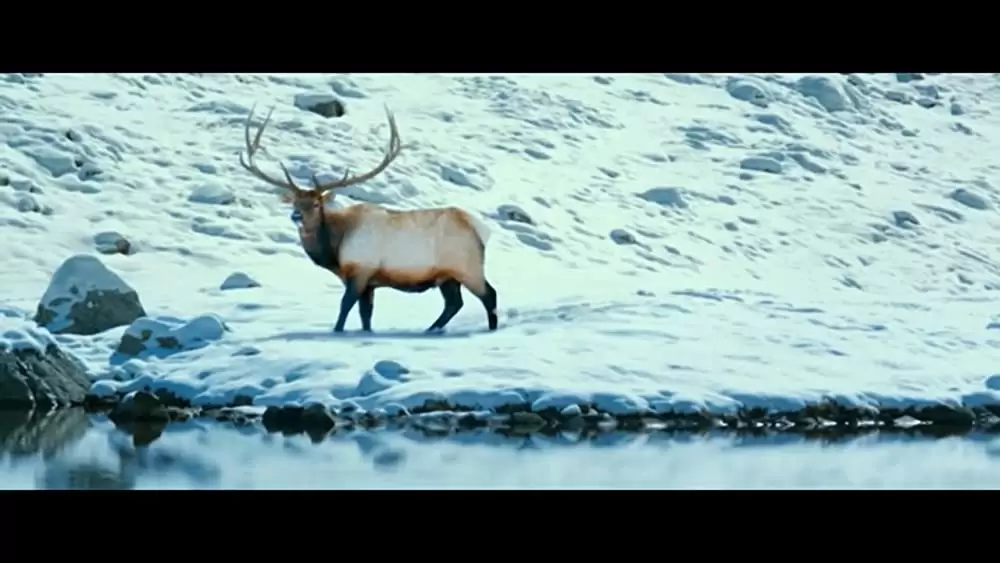 ハンターキラー 潜航せよの画像