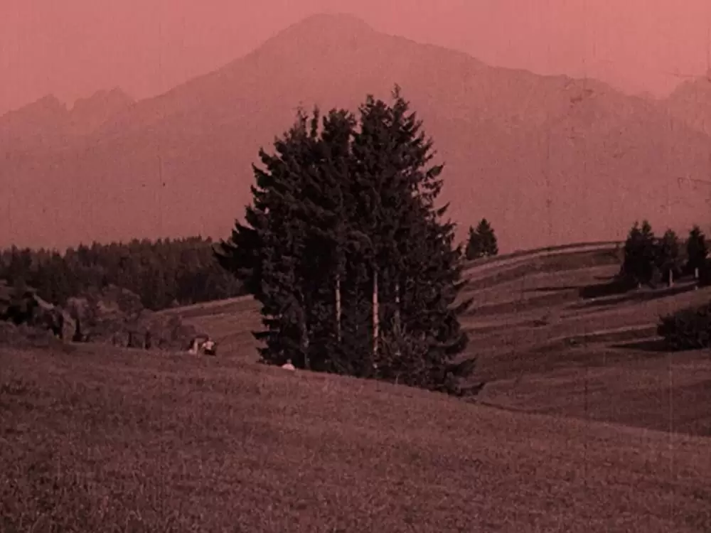 吸血鬼ノスフェラトゥの画像