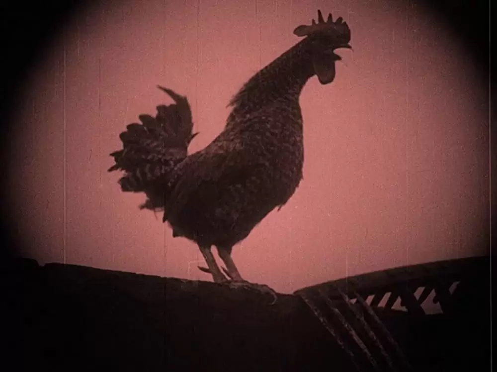 吸血鬼ノスフェラトゥの画像