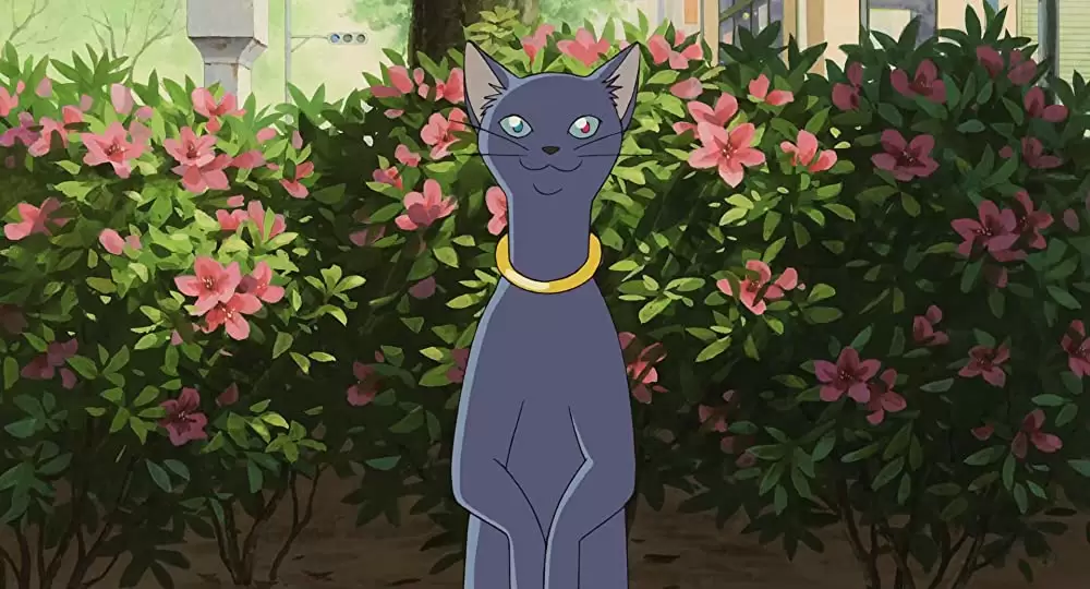 「猫の恩返し」山田孝之の画像