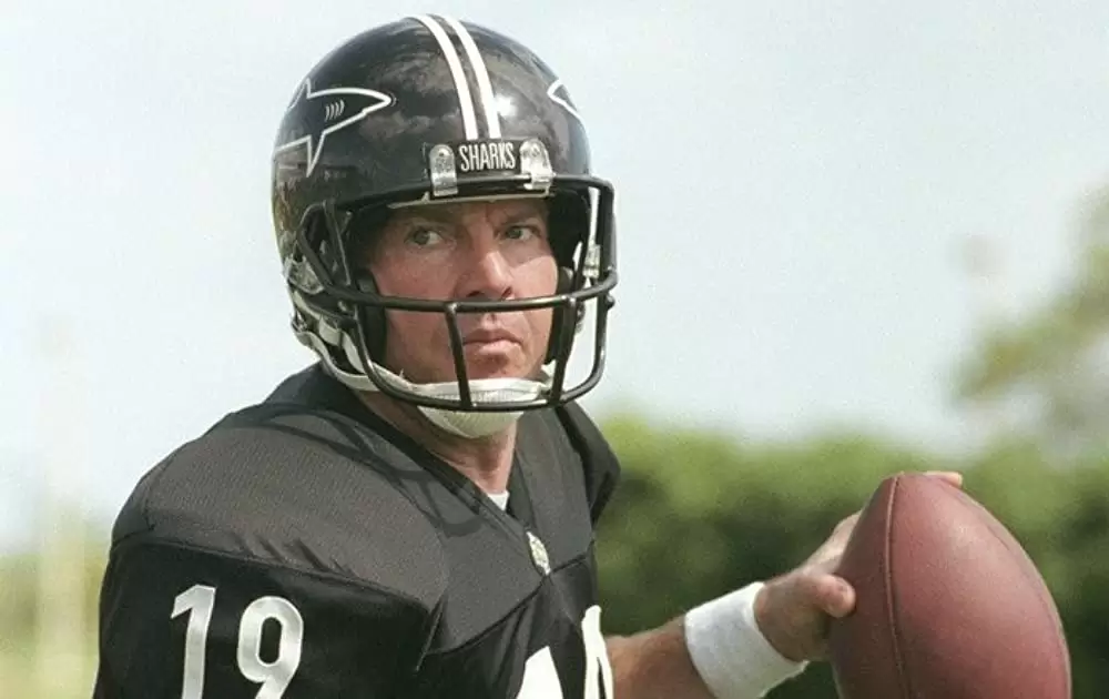 エニイ・ギブン・サンデーの画像