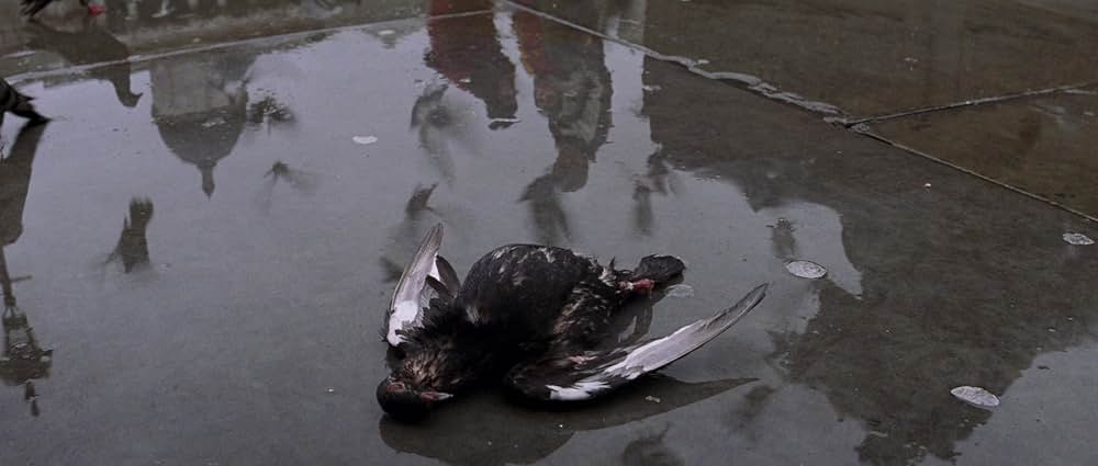 ザ・コアの画像