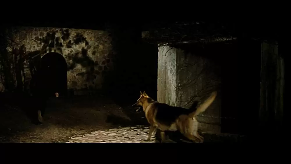 燃えよドラゴンの画像