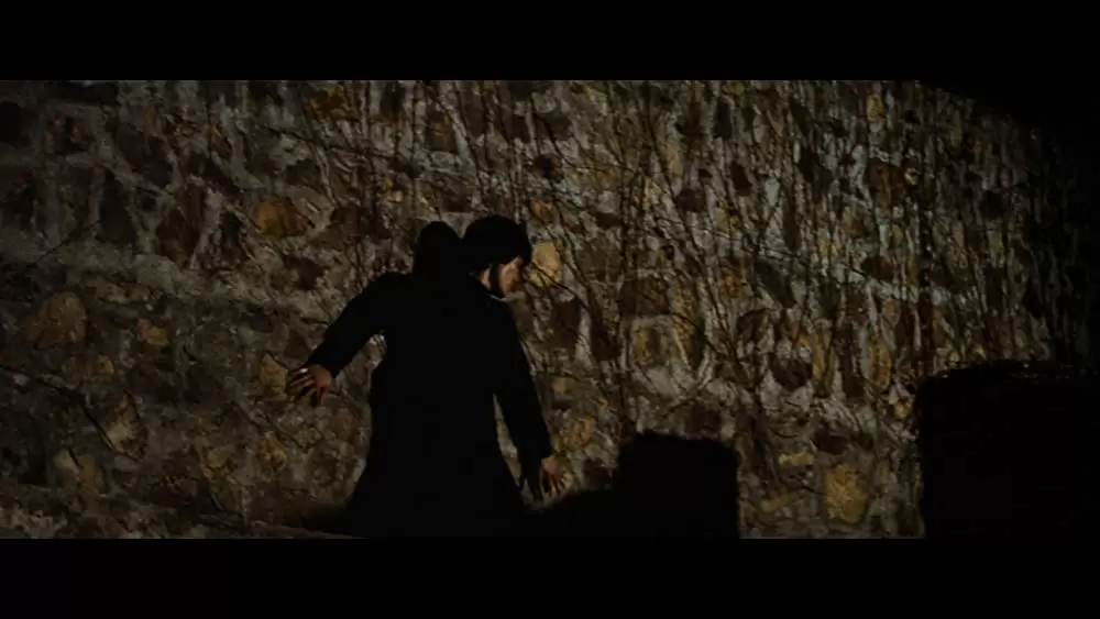 燃えよドラゴンの画像