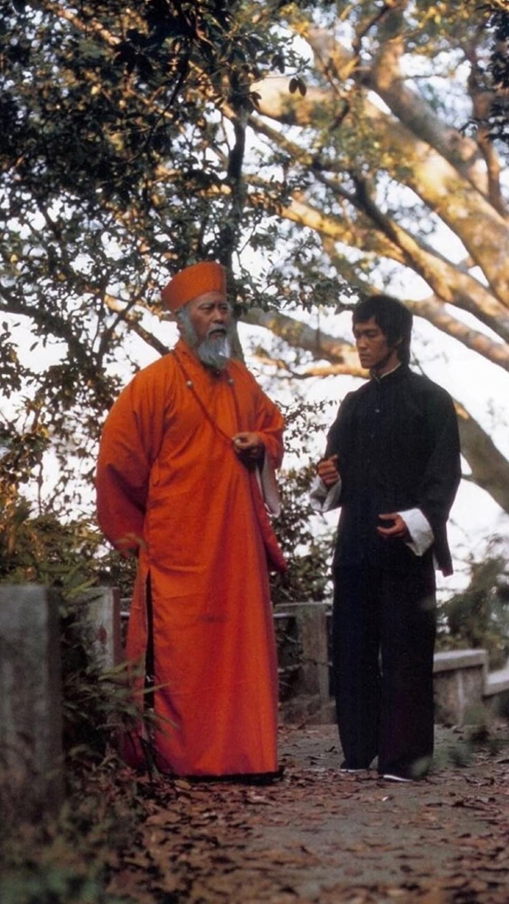 燃えよドラゴンの画像