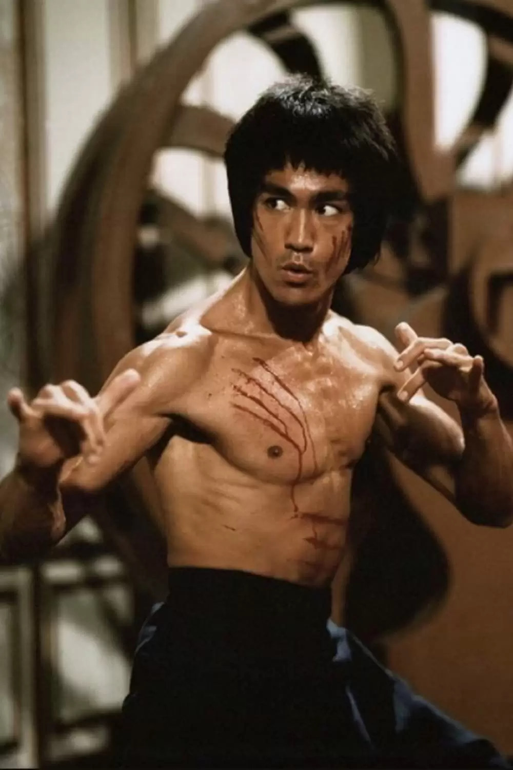 燃えよドラゴンの画像