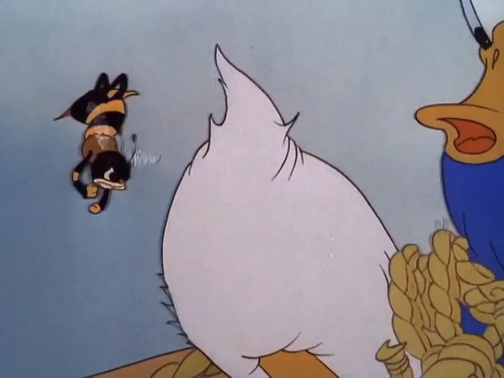 ドナルドの摩天楼の画像