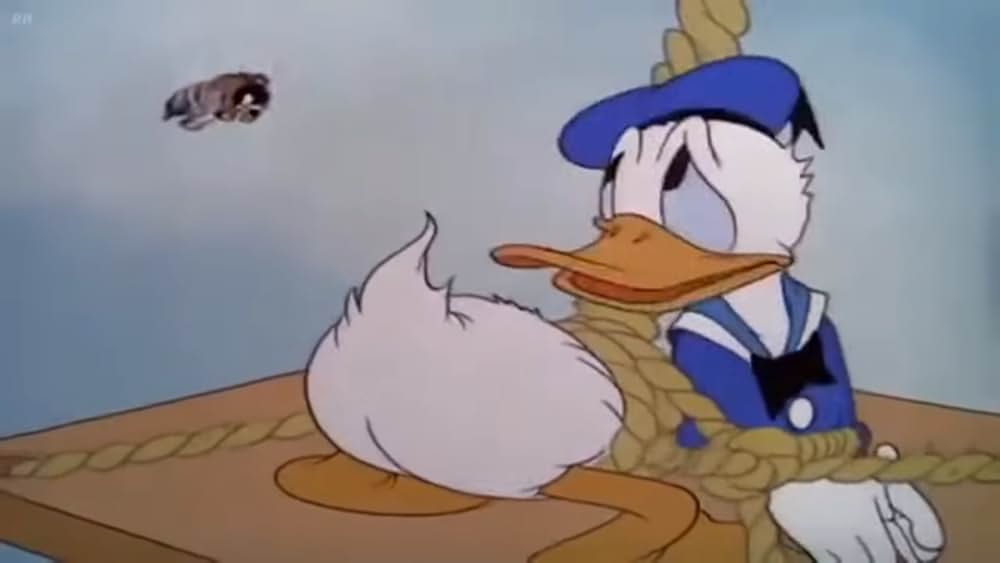 ドナルドの摩天楼の画像