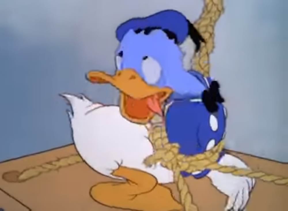 ドナルドの摩天楼の画像