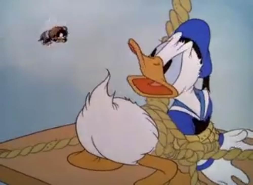 ドナルドの摩天楼の画像