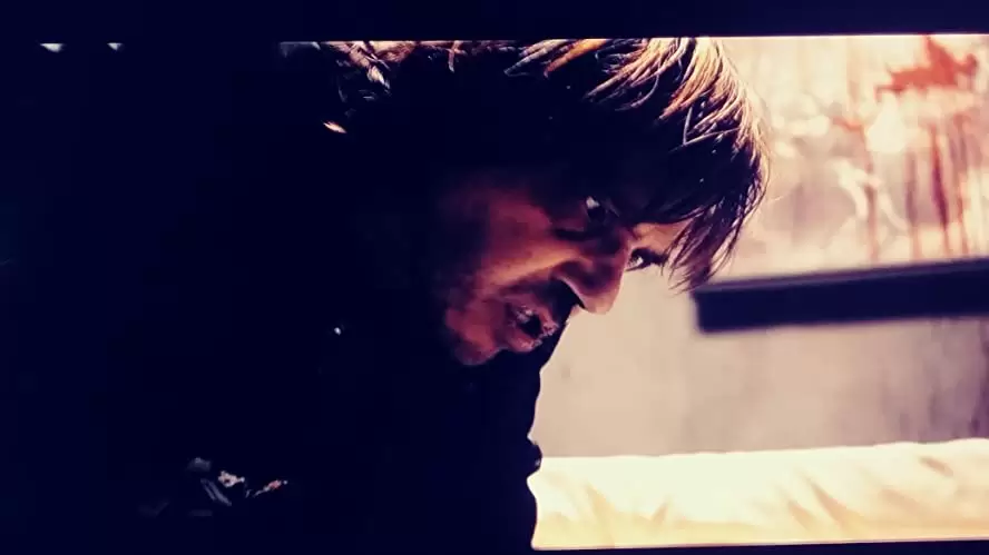 セルビアン・フィルムの画像