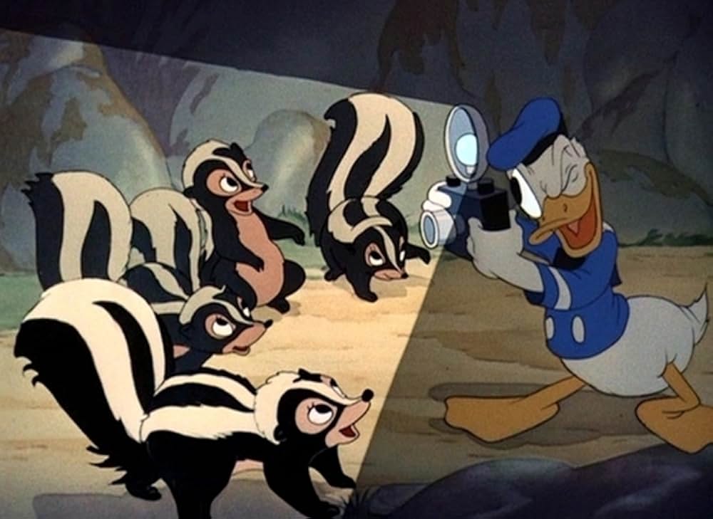 ドナルドのカメラ大好きの写真