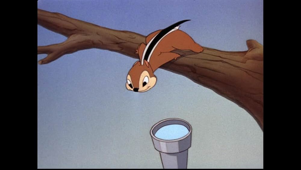 ドナルドのカメラ大好きの画像