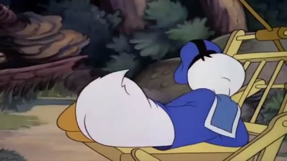 ドナルドの夏休みの写真