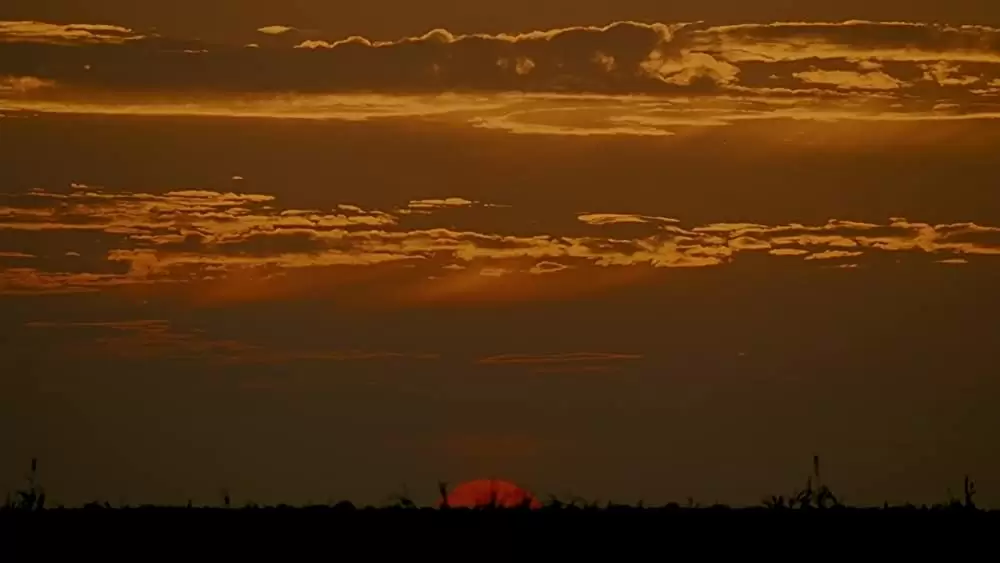テキサス・チェーンソー ビギニングの画像