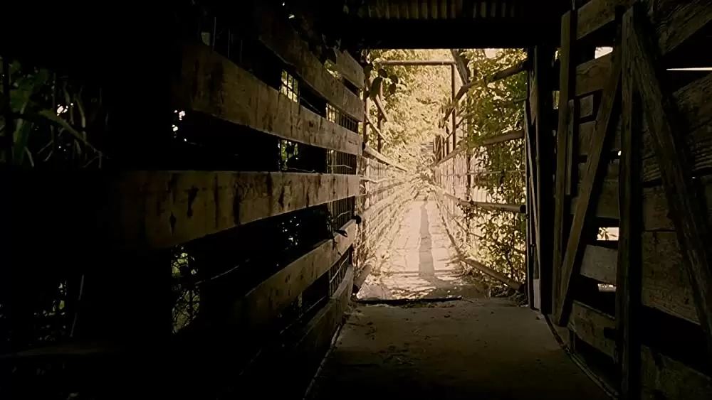 テキサス・チェーンソー ビギニングの画像