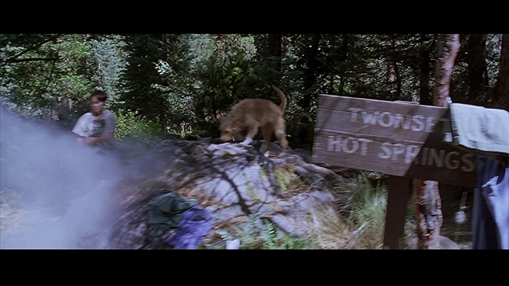 ダンテズ・ピークの画像