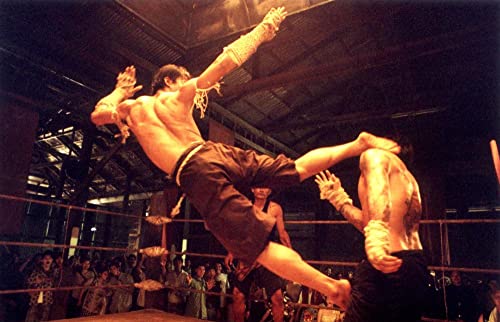 マッハ！の画像