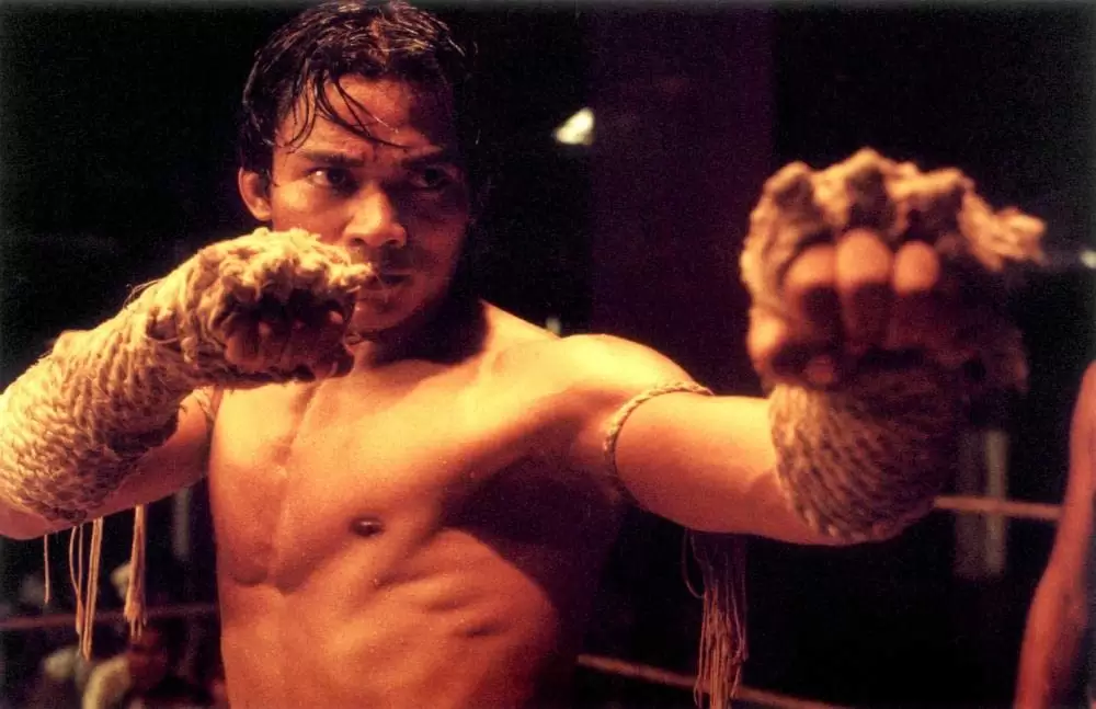 「マッハ！」トニー・ジャーの画像