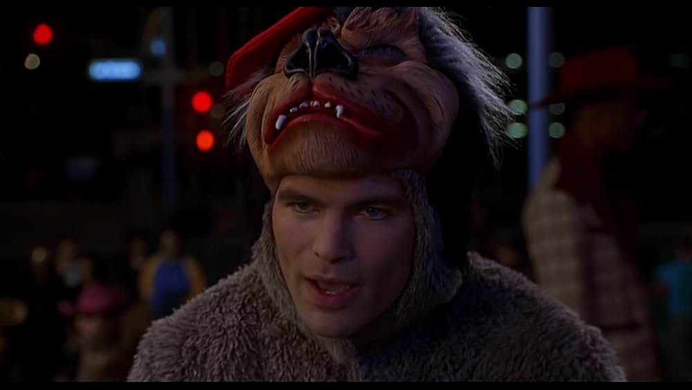 ヴァン・ワイルダーの画像