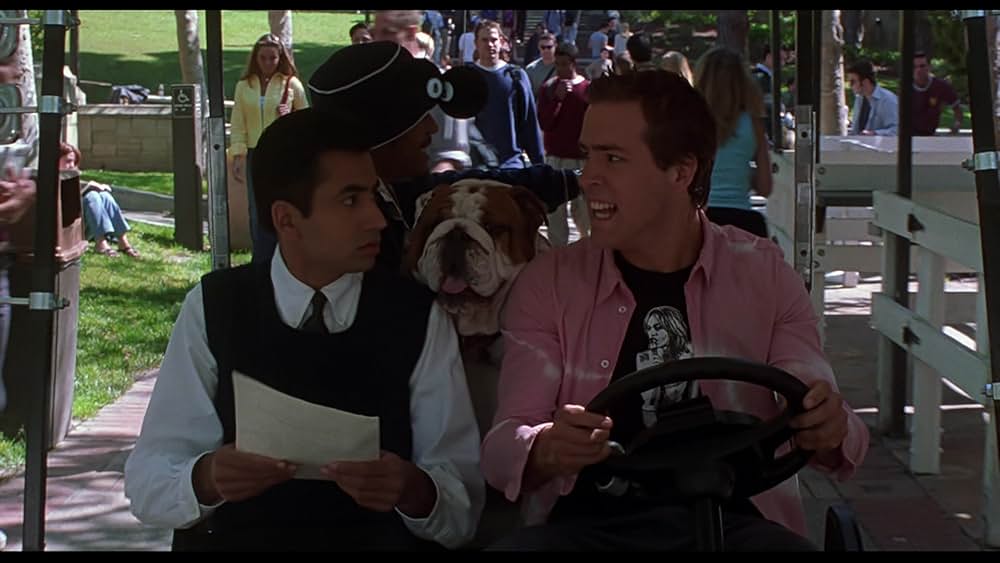 ヴァン・ワイルダーの画像