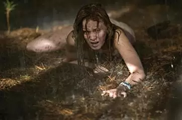 ラスト・ハウス・オン・ザ・レフト -鮮血の美学-の画像