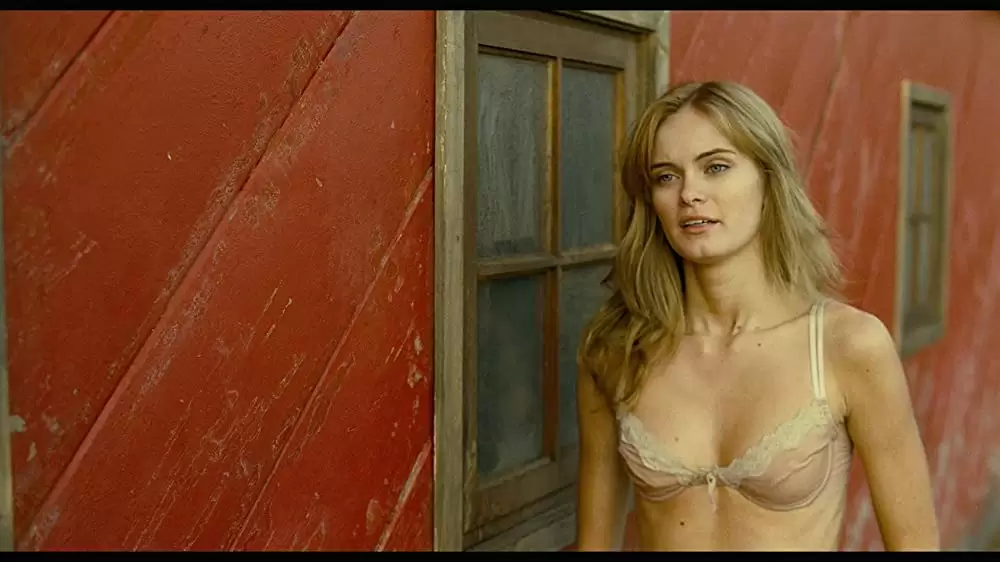 ラスト・ハウス・オン・ザ・レフト -鮮血の美学-の画像