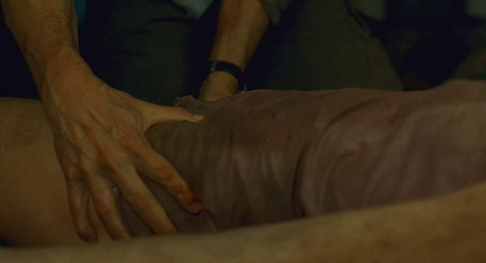 ラスト・ハウス・オン・ザ・レフト -鮮血の美学-の画像