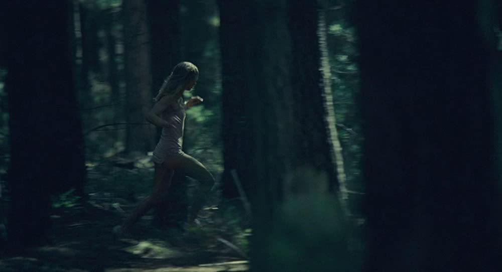 ラスト・ハウス・オン・ザ・レフト -鮮血の美学-の画像